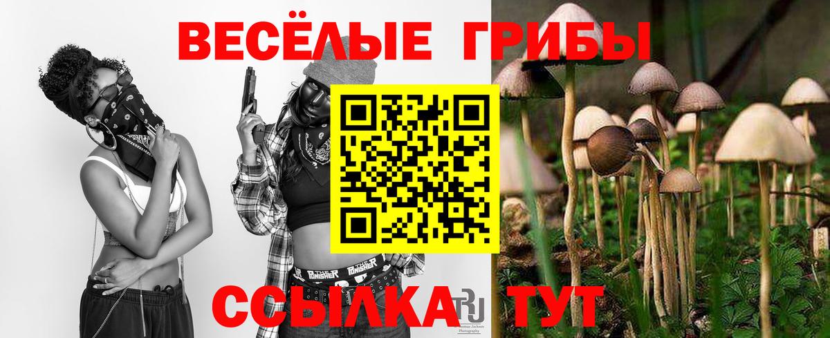 Клин  Псилоцибиновые грибы прущие грибы  Вход с VPN 